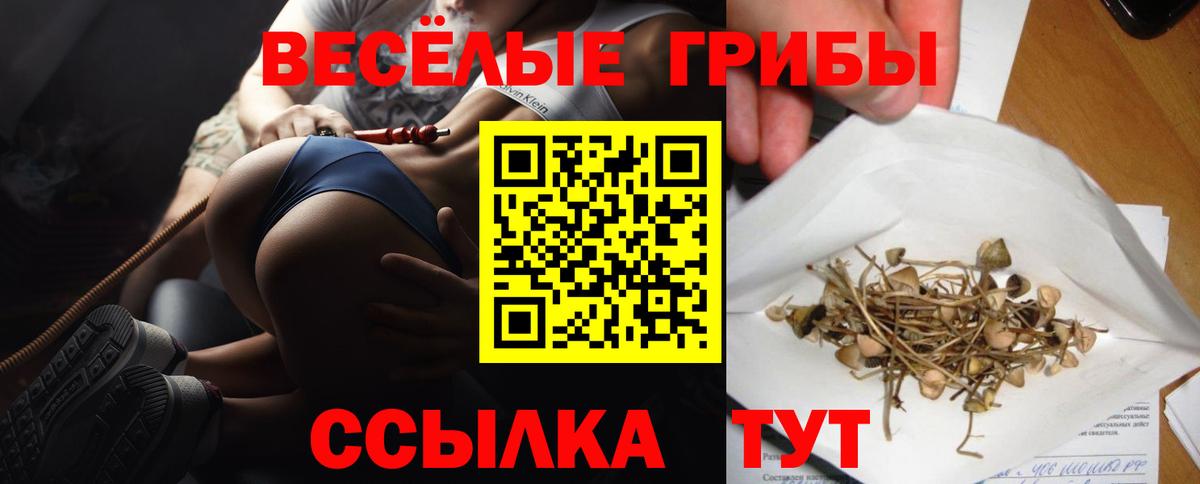 Галлюциногенные грибы MAGIC MUSHROOMS  Псилоцибиновые грибы ЛСД  Минусинск  Вход с VPN 